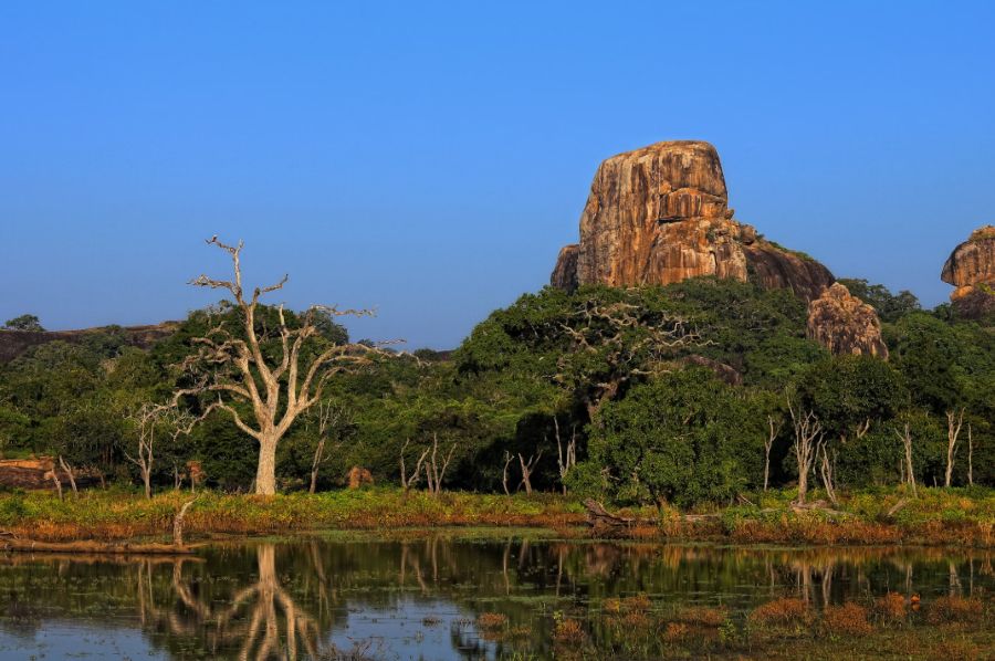 Yala National Park, Sri Lanka