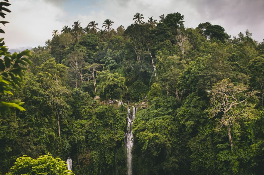 Sekumpul Waterfall, Bali, Indonesia