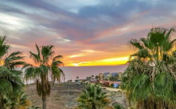 Tenerife, Canary Islands, Spain.