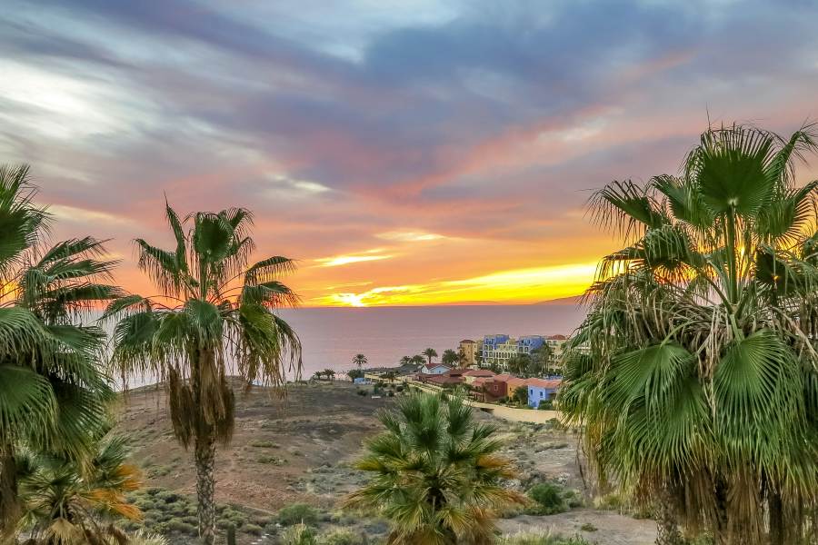 Tenerife, Canary Islands, Spain.