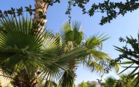 Հռոդոս կղզի, Հունաստան