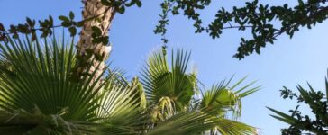 Հռոդոս կղզի, Հունաստան