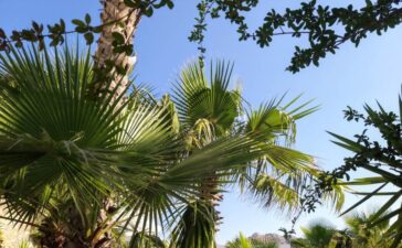 Հռոդոս կղզի, Հունաստան