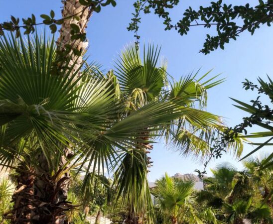 Հռոդոս կղզի, Հունաստան