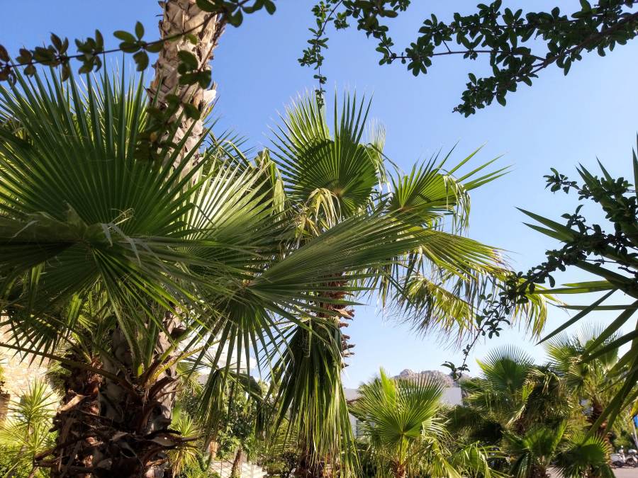 Հռոդոս կղզի, Հունաստան